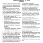 2020 Child Care Rebate Form Fillable Printable PDF Forms Handypdf